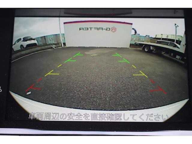22712772_carP_l_4.jpg