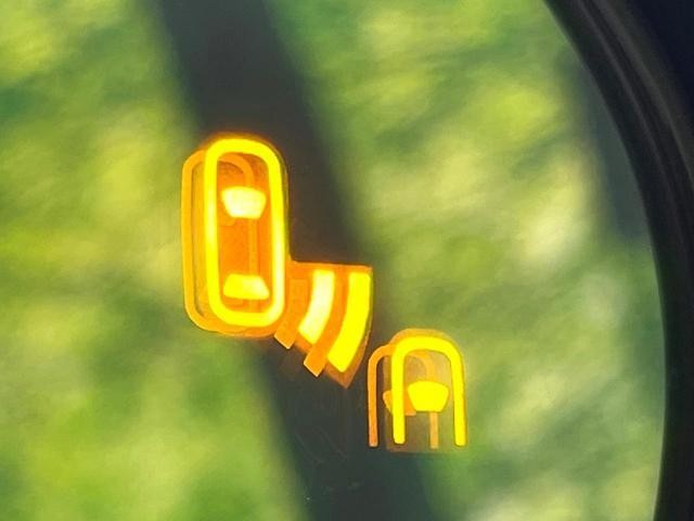 26168656_carP_l_10.jpg