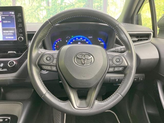 25549459_carP_l_5.jpg