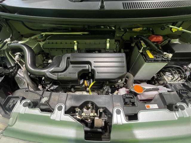 25527586_carP_l_16.jpg