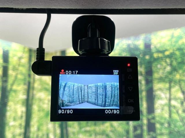 23987380_carP_l_14.jpg