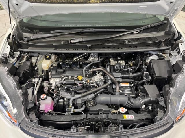24932728_carP_l_18.jpg