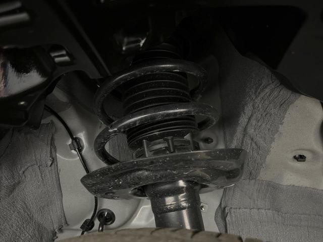 25694133_carP_l_20.jpg