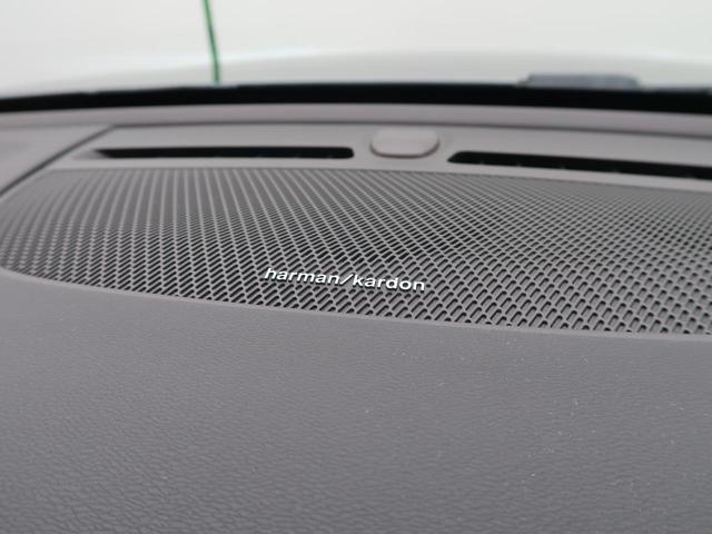 24421396_carP_l_10.jpg