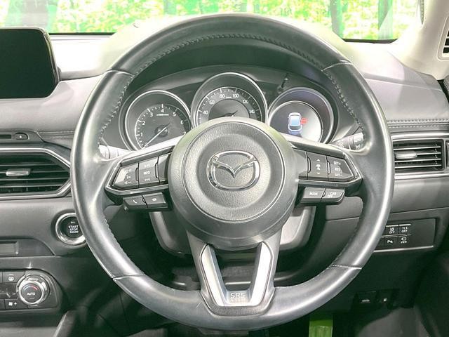 25344573_carP_l_5.jpg