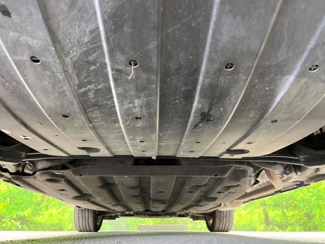 25549596_carP_l_18.jpg