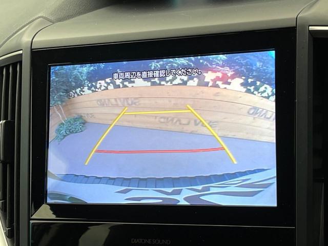23615668_carP_l_4.jpg