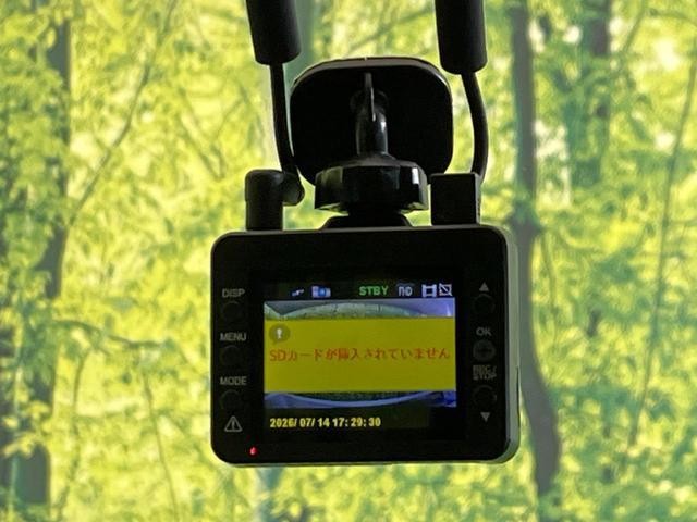 25199322_carP_l_10.jpg