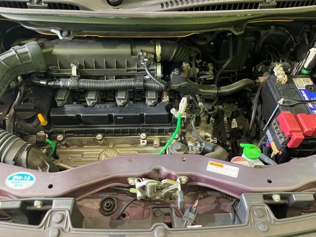 25199322_carP_l_18.jpg