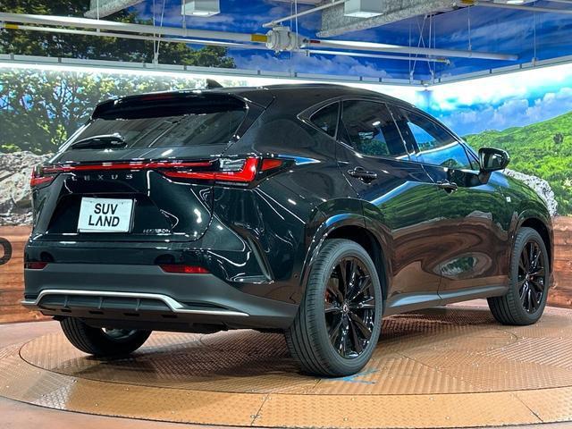 24726483_carP_l_12.jpg