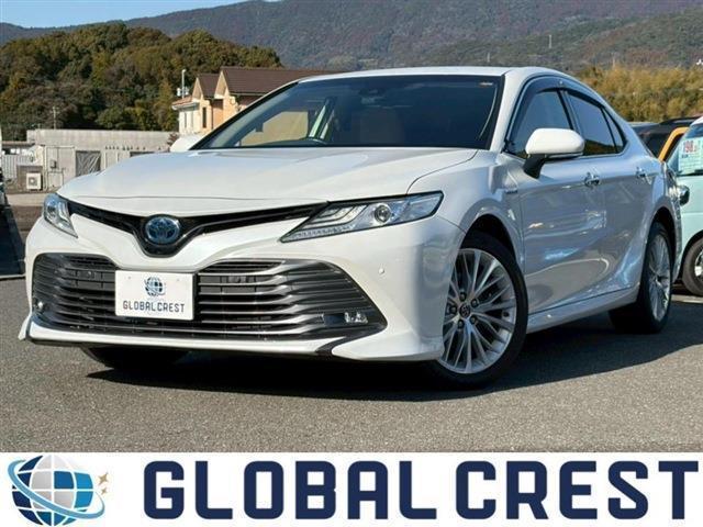 21904020_carP_l_1.jpg