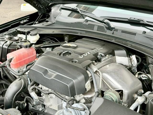 24505917_carP_l_16.jpg