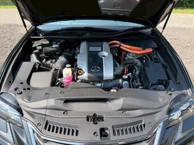 25344737_carP_l_10.jpg