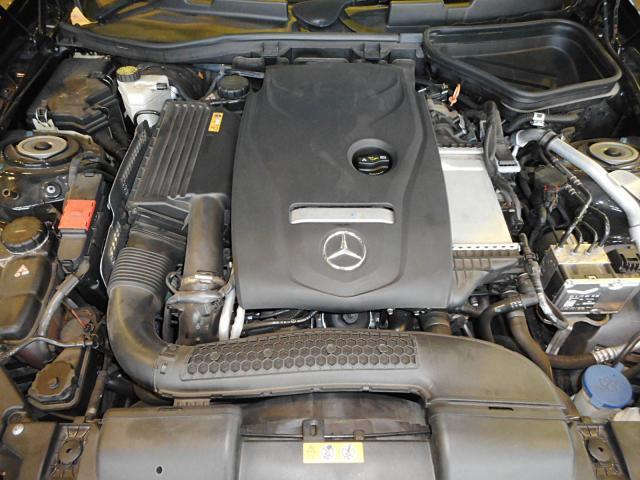 24727024_carP_l_20.jpg