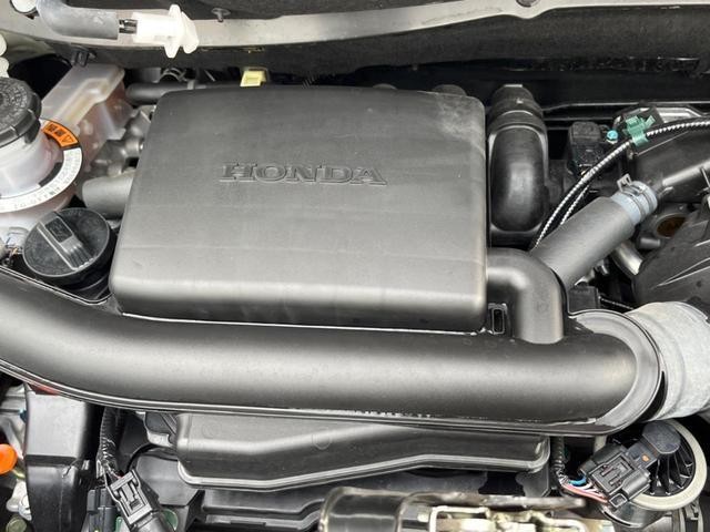 25549907_carP_l_16.jpg
