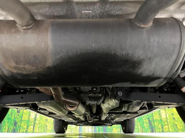 24500972_carP_l_18.jpg