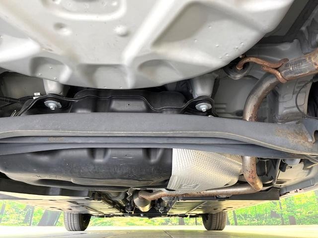 25885146_carP_l_18.jpg