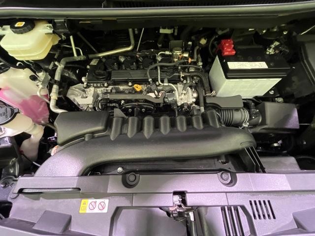 26084793_carP_l_16.jpg