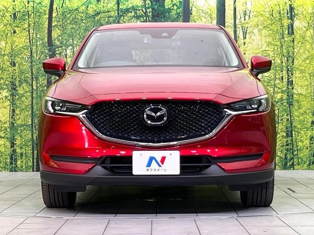 25323798_carP_l_8.jpg