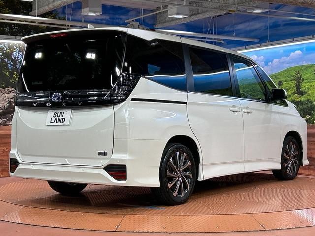 25885278_carP_l_16.jpg