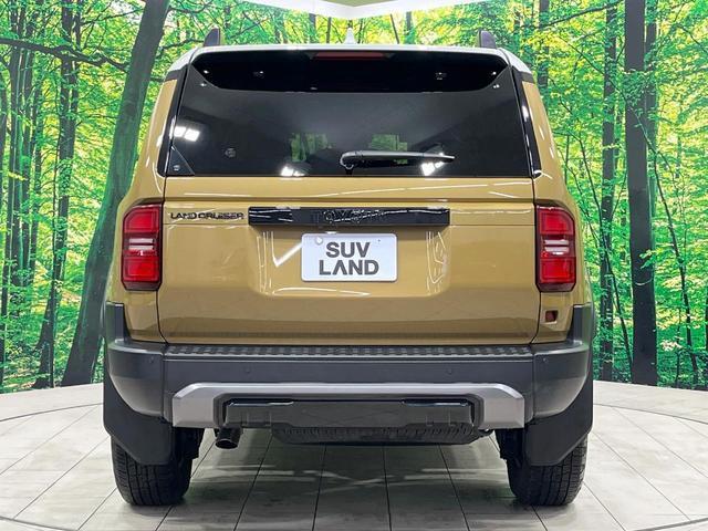 23616202_carP_l_9.jpg