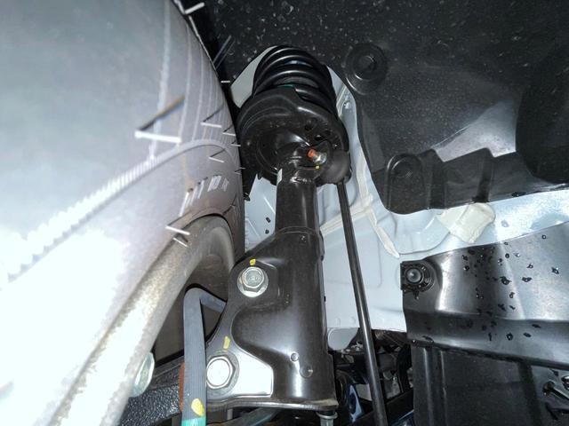 26084794_carP_l_20.jpg