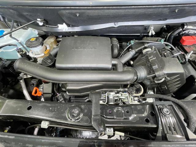 24421794_carP_l_16.jpg