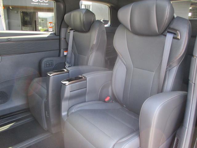23620780_carP_l_11.jpg