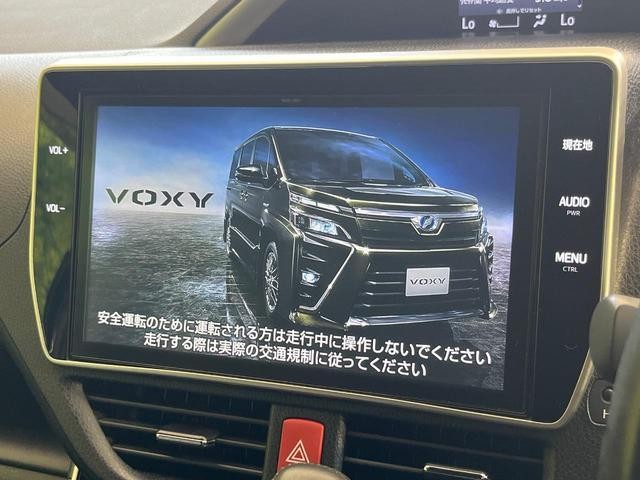 25652496_carP_l_4.jpg