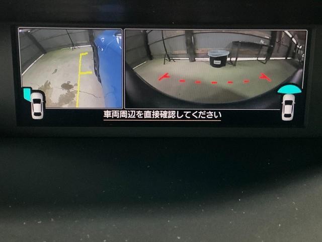 25174157_carP_l_20.jpg