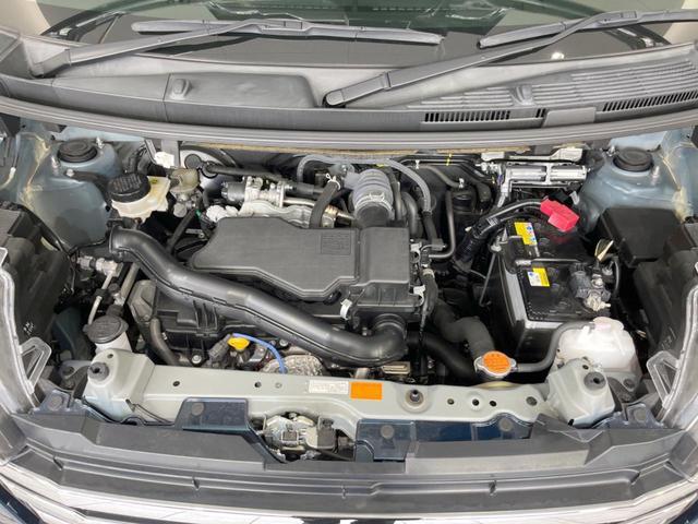 24521104_carP_l_16.jpg