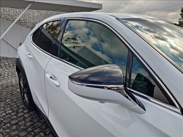 07.jpg