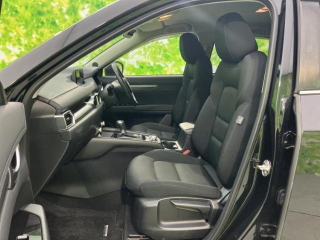 23207371_carP_l_13.jpg