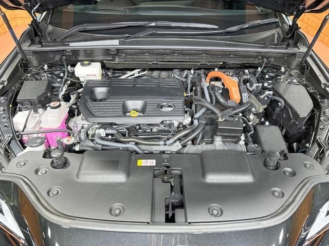 25364447_carP_l_18.jpg