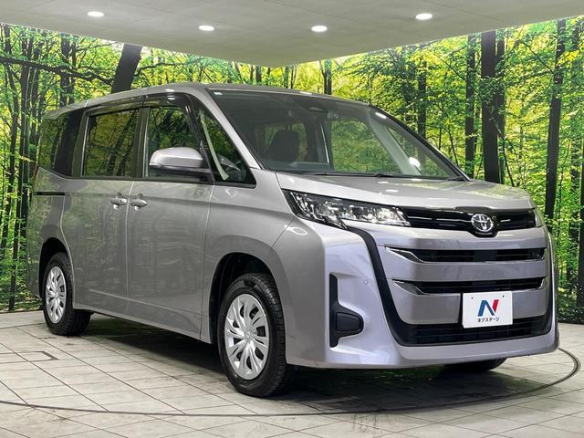 23616062_carP_l_12.jpg