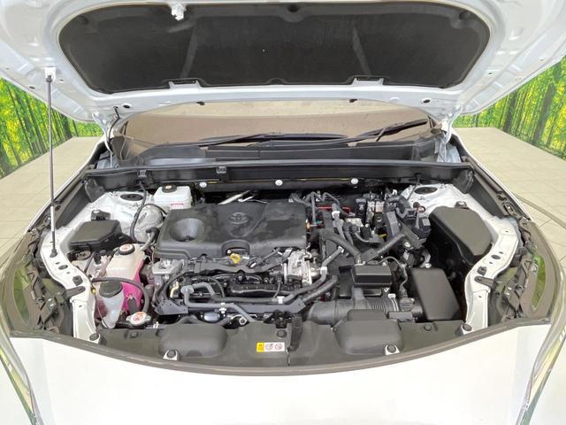 23675202_carP_l_16.jpg
