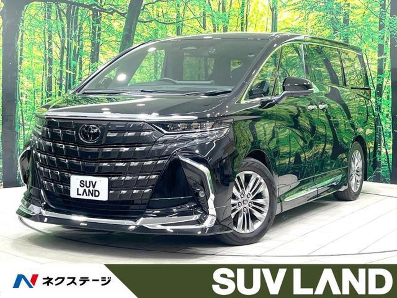 2024 Toyota Alphard, photo 1 of 1