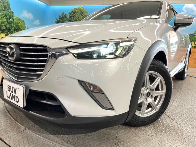 24521157_carP_l_6.jpg