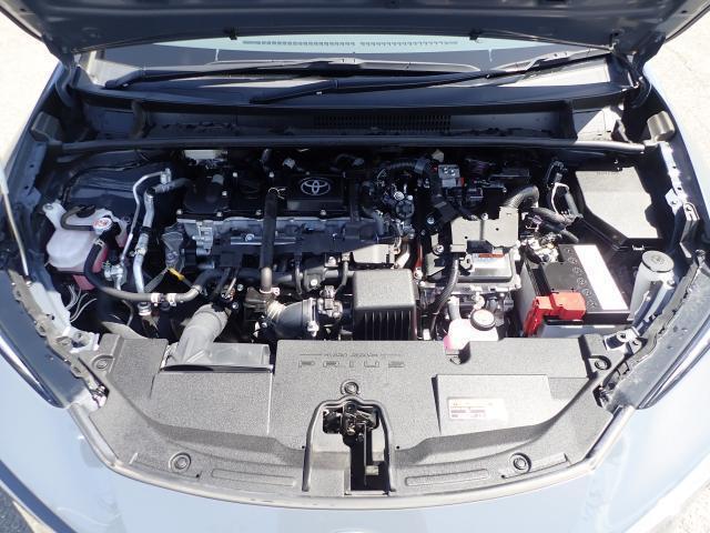 23571791_carP_l_17.jpg