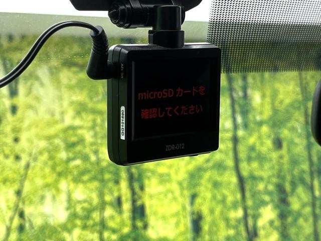 25754599_carP_l_13.jpg