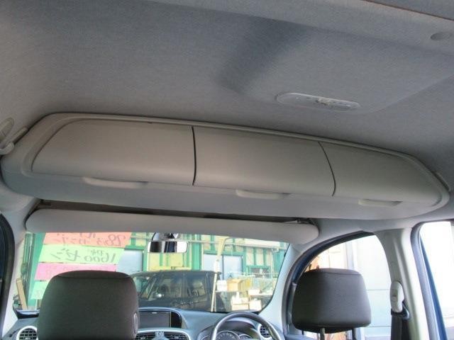 25221157_carP_l_5.jpg