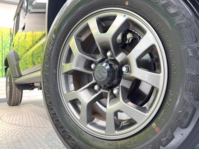 24746742_carP_l_7.jpg