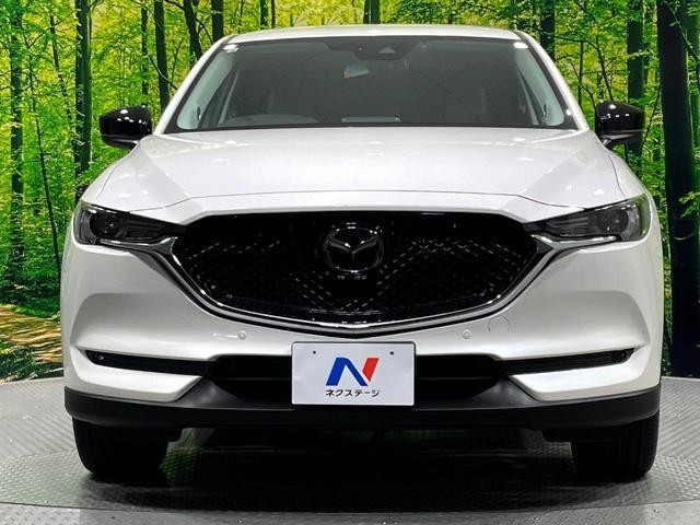 25550237_carP_l_11.jpg