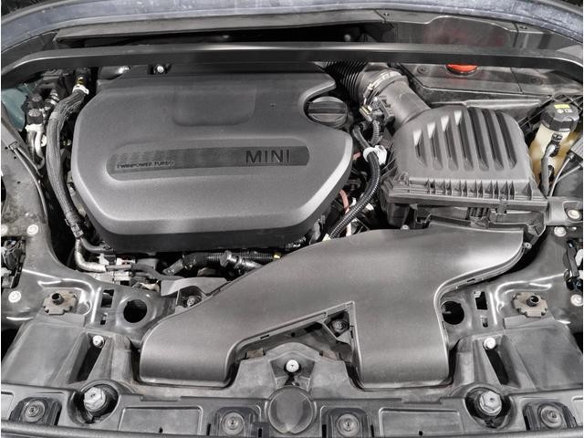 25400193_carP_l_14.jpg