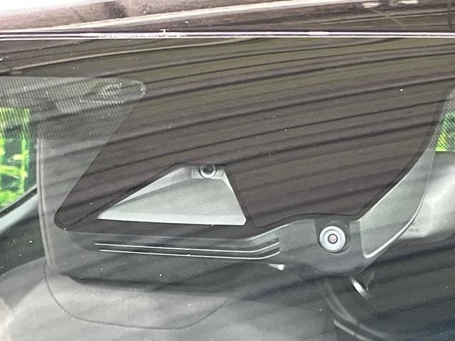 25734428_carP_l_14.jpg