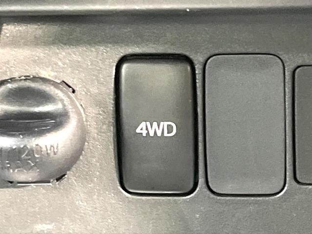 25364246_carP_l_15.jpg