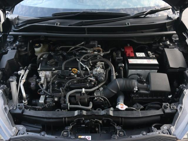 23986496_carP_l_17.jpg