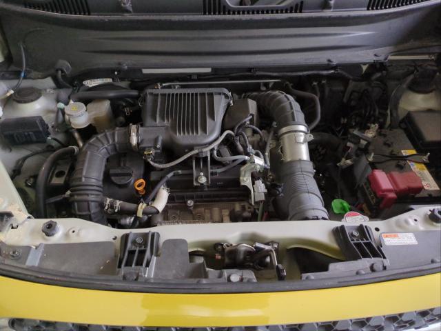 23281156_carP_l_17.jpg