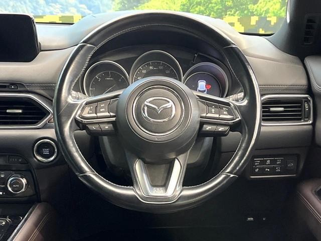 25549409_carP_l_5.jpg