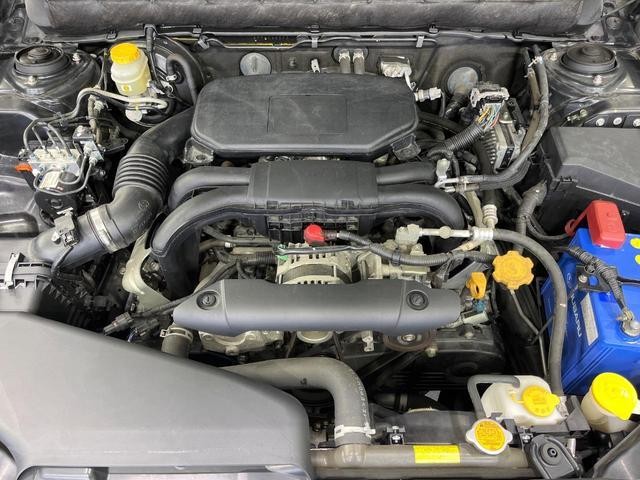 24625084_carP_l_18.jpg